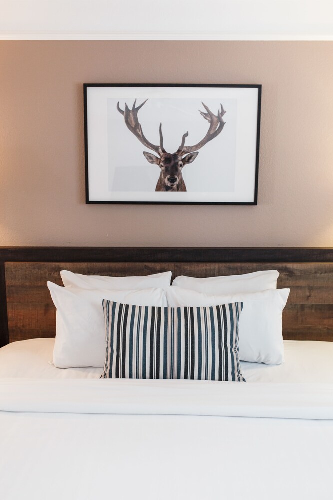 Inn at Mount Shasta - photo 6