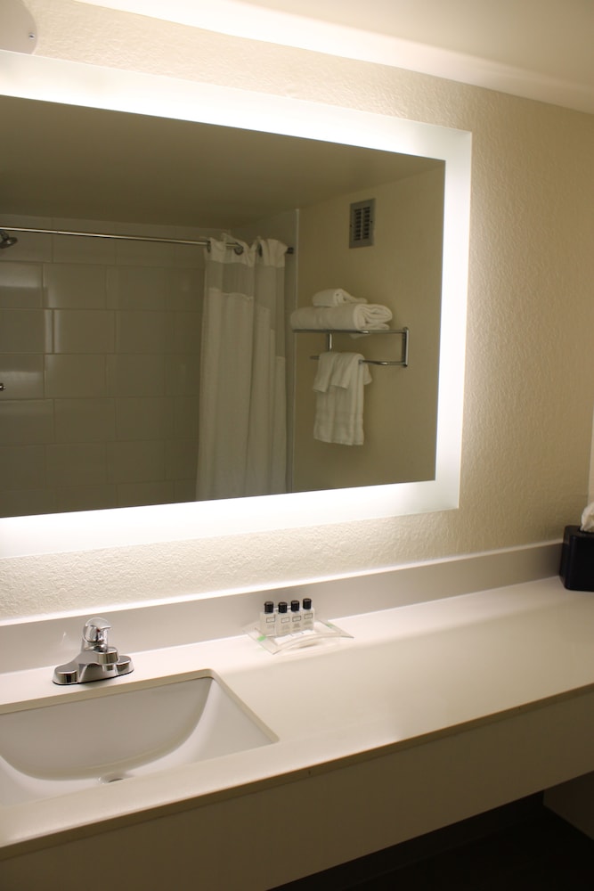 Wyndham Flint Grand Blanc Bishop Airport Confe - photo 14
