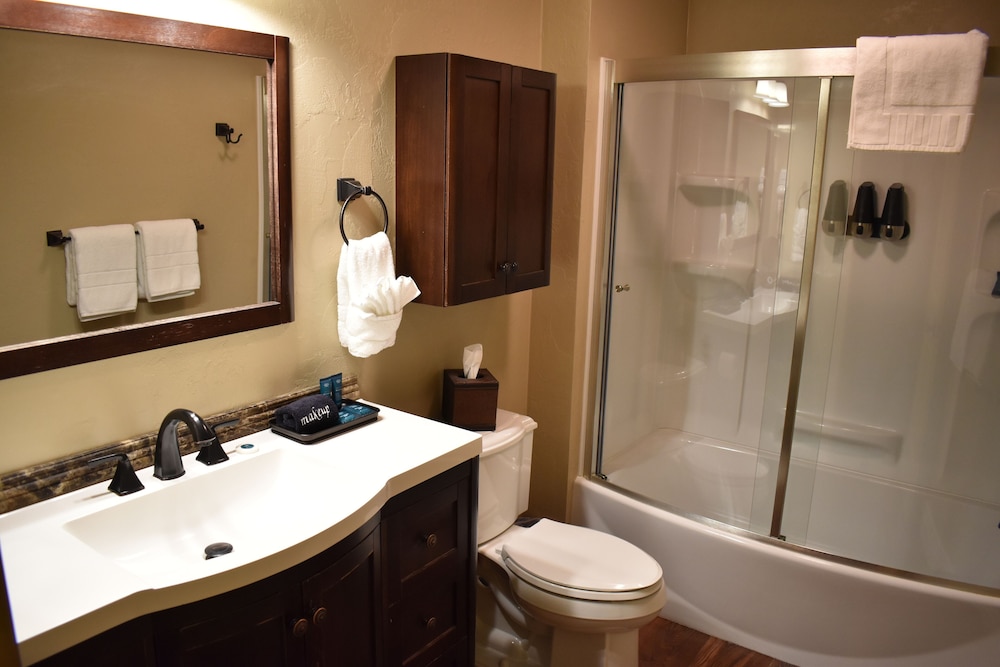 Silver Horseshoe Inn - photo 48
