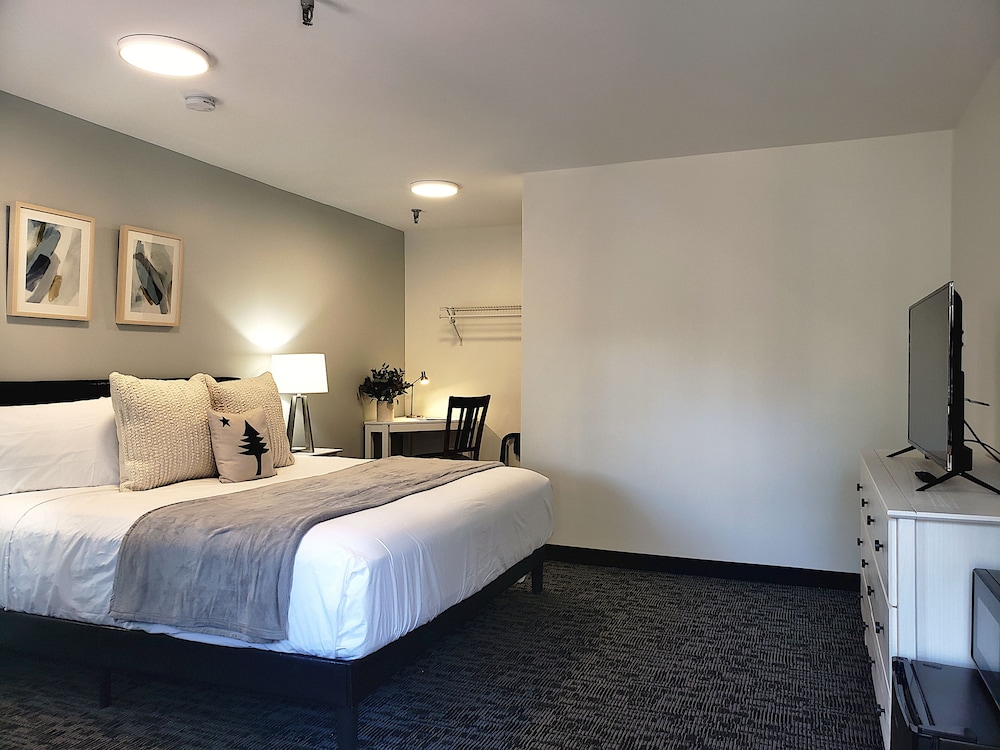 Main Street Motel - photo 9