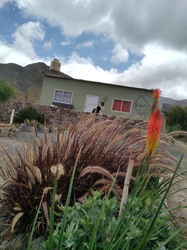 Rikra Purmamarca - last minute hotel in Unknown City