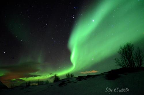 Spindaj — 4-Star Luxury Hotel in Skjervoy, Norway