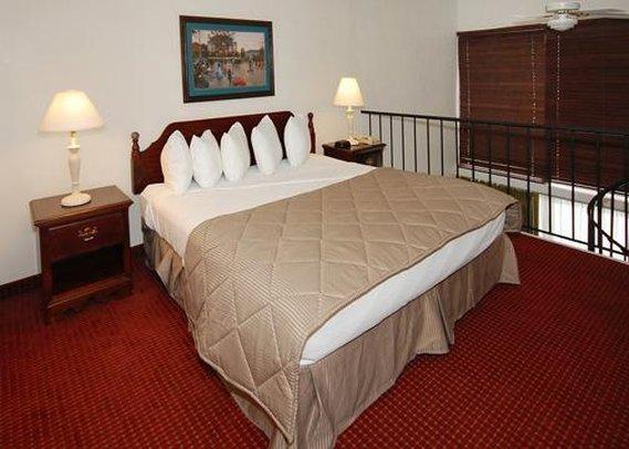 Clarion Hotel Fort Myers - photo 6