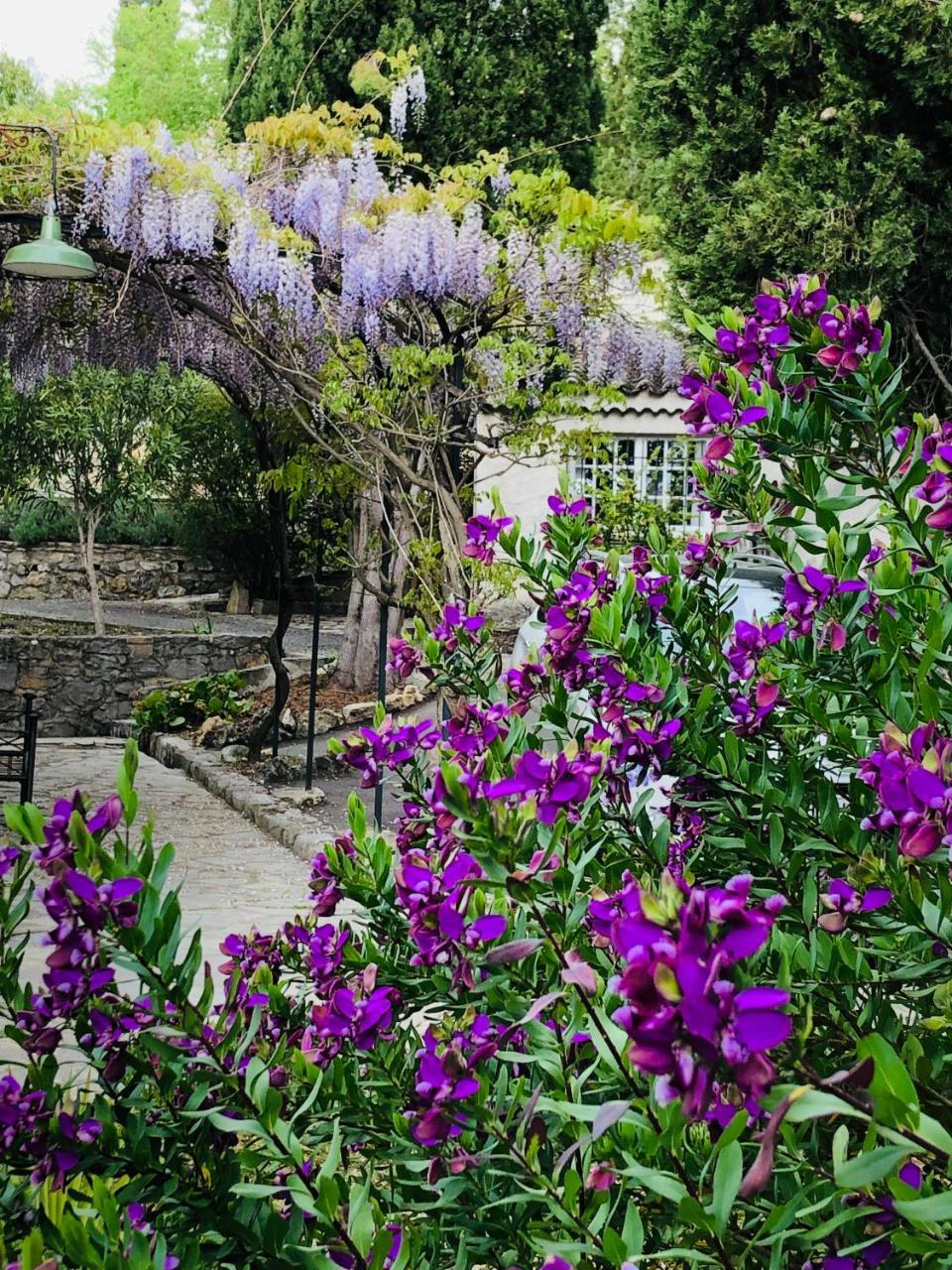 Mas Piostoun in Fayence, France