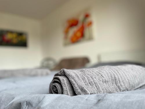 Schönes einfaches Zimmer in Oldenburg — carbon neutral stay, Oldenburg