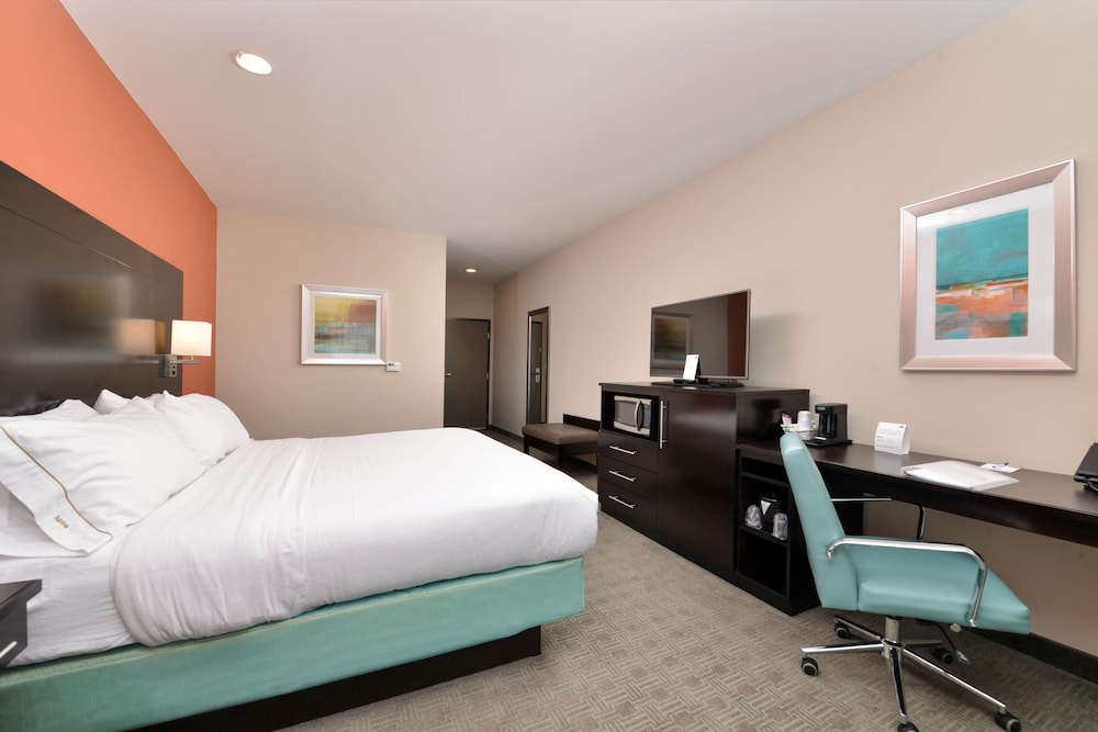 Holiday Inn Express & Suites Austin South by IHG - photo 6