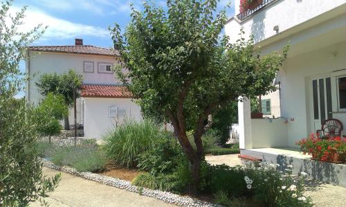 Rooms Hodanić — Krk — photo 2