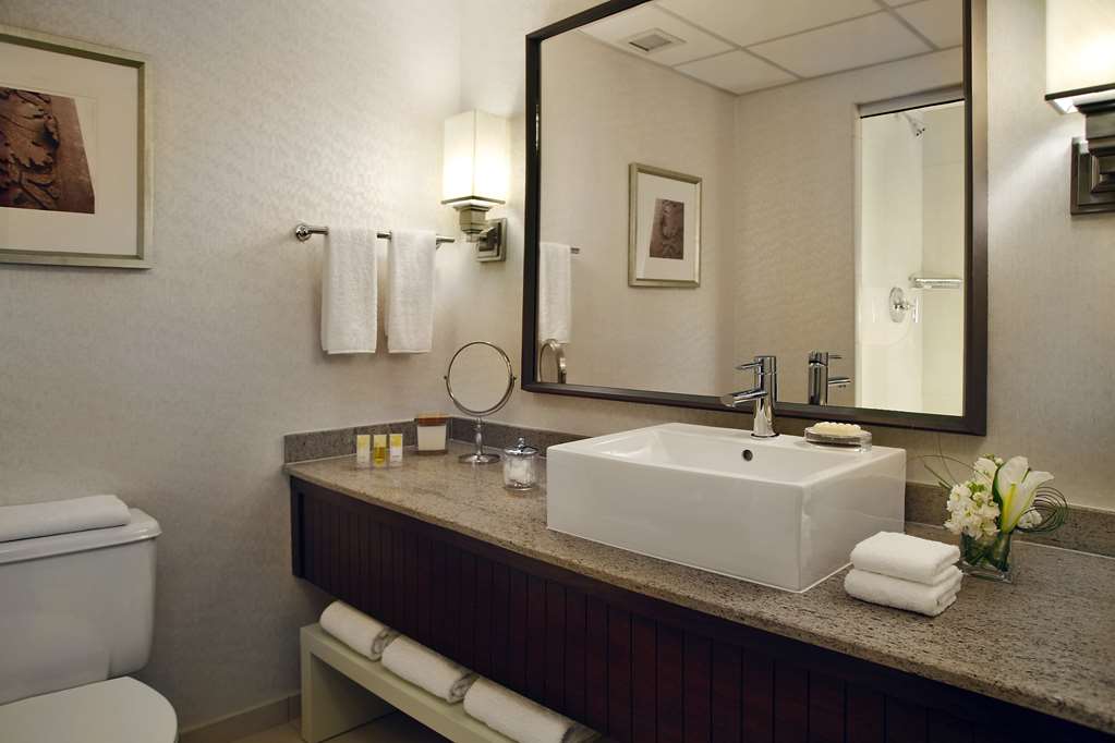 Hyatt Regency St. Louis at The Arch - photo 9