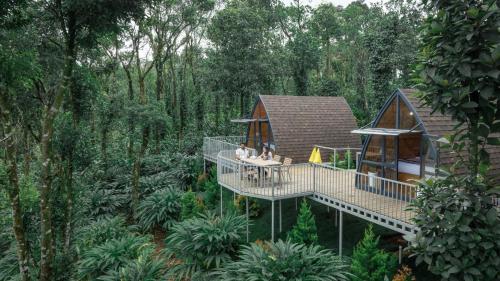 Vanani Luxury Glamping and Resorts Munnar in Munnar, India