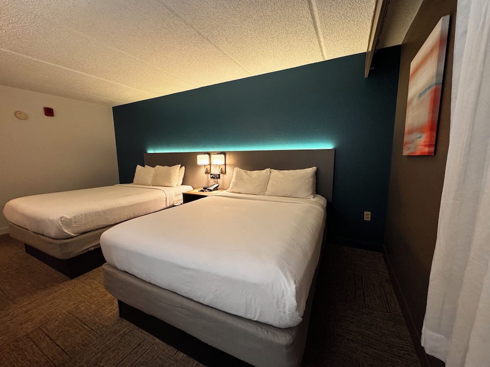 Comfort Inn Darien North Brunswick - photo 30