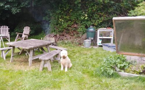Nettles Farm - photo 18
