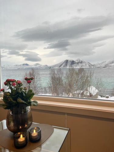 Fantastic view quiet and relaxing by the sea in Tromso, Norway