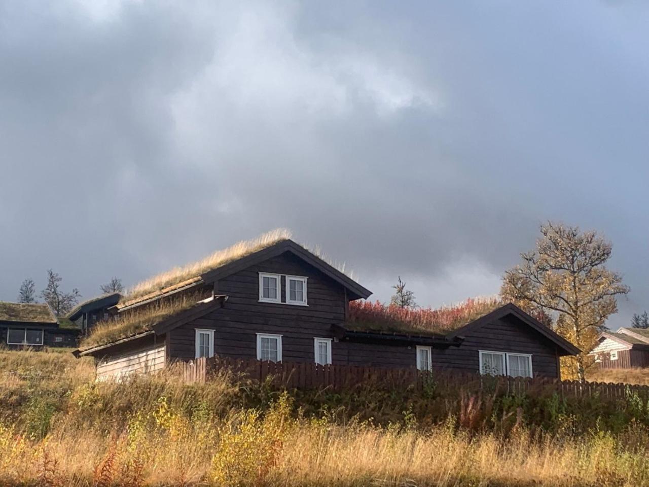 Tuftehytta in Gol, Norway