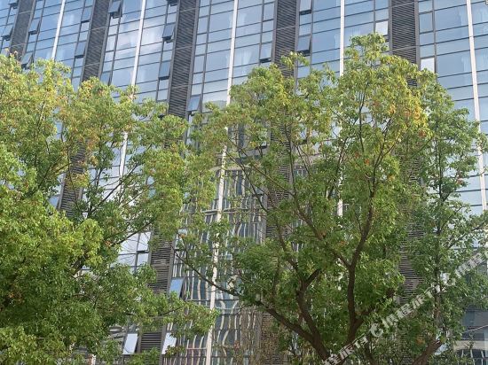 Light House Hotel - last minute hotel in Nanjing