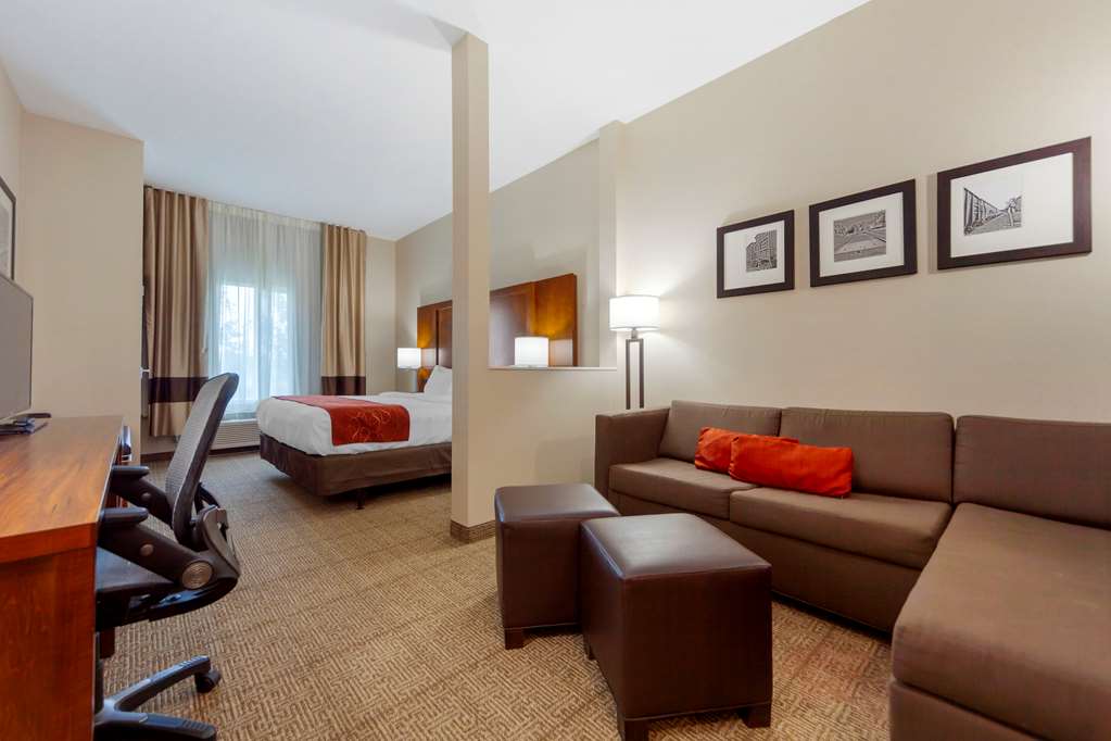 Comfort Suites La Vista Omaha - photo 7