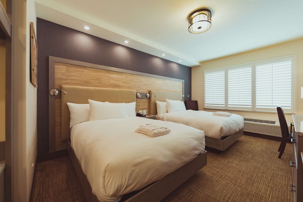 Tailwater Lodge Altmar Tapestry Collection by Hilton - photo 30