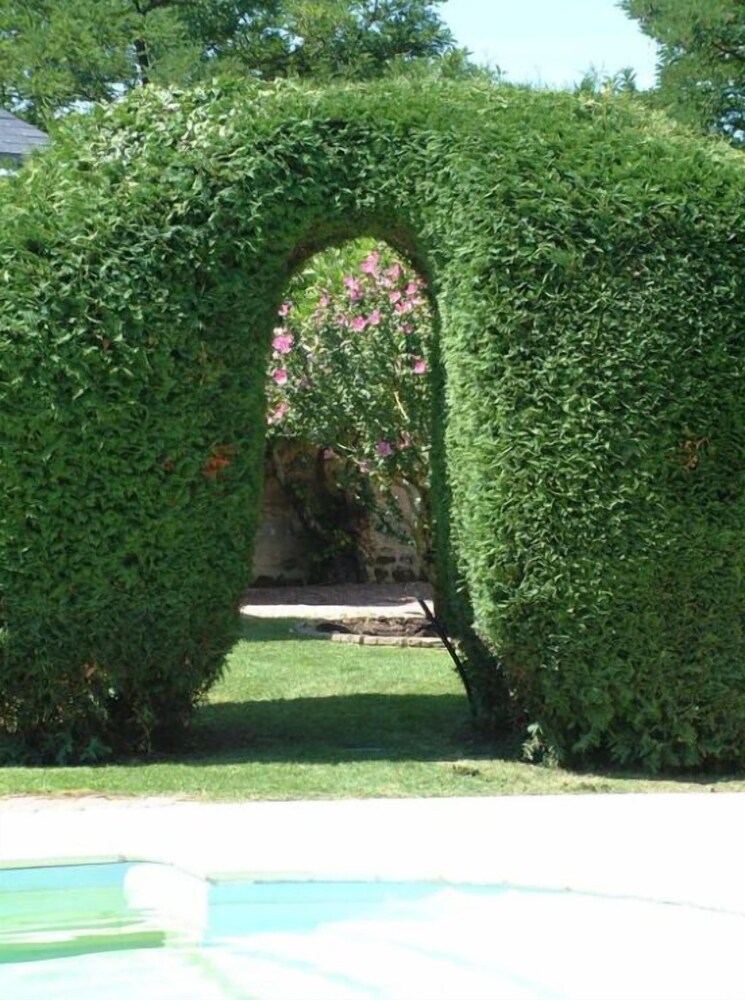 Le Clos De La Chapelle — Huismes — photo 2