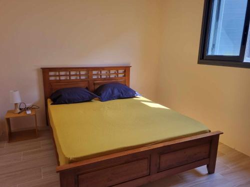 Ti kaz Palmiste in Saint-Philippe, Réunion