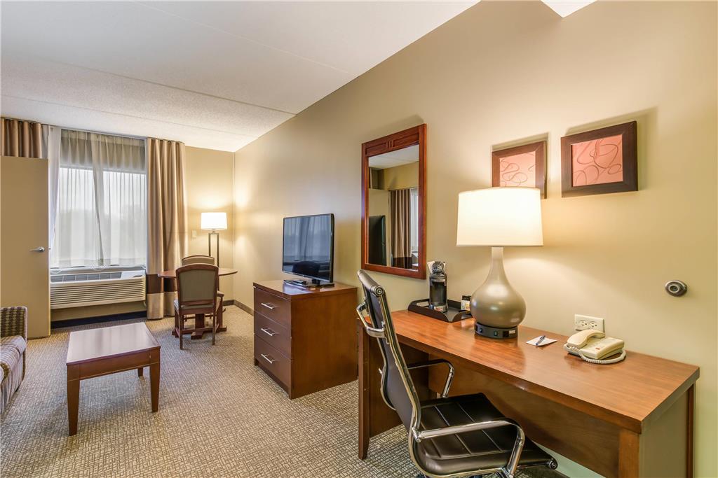 Comfort Suites Chicago O'Hare Airport - photo 19
