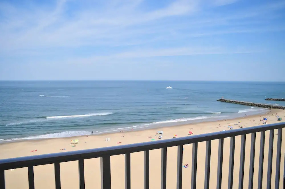 Dolphin Run - photo 41