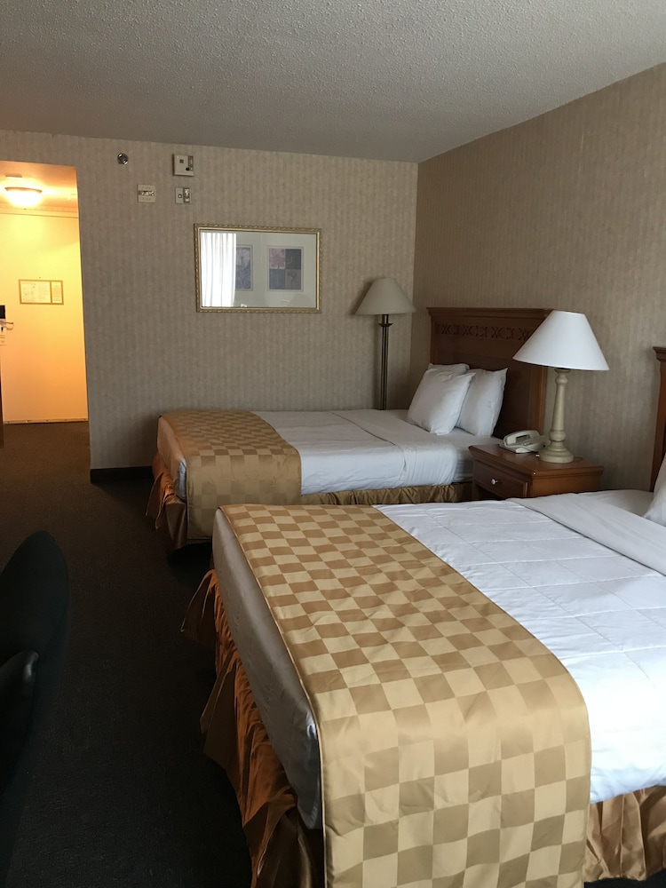 Ramada Dallas North - photo 10