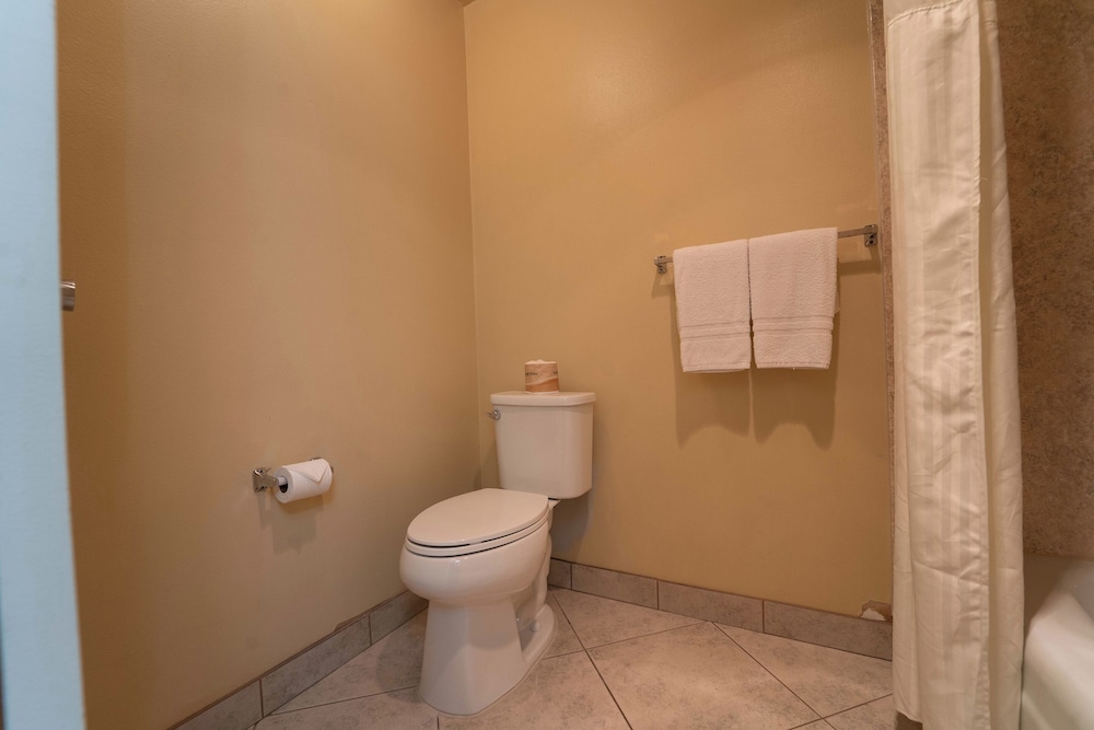 Royal Plaza Inn Indio - photo 50