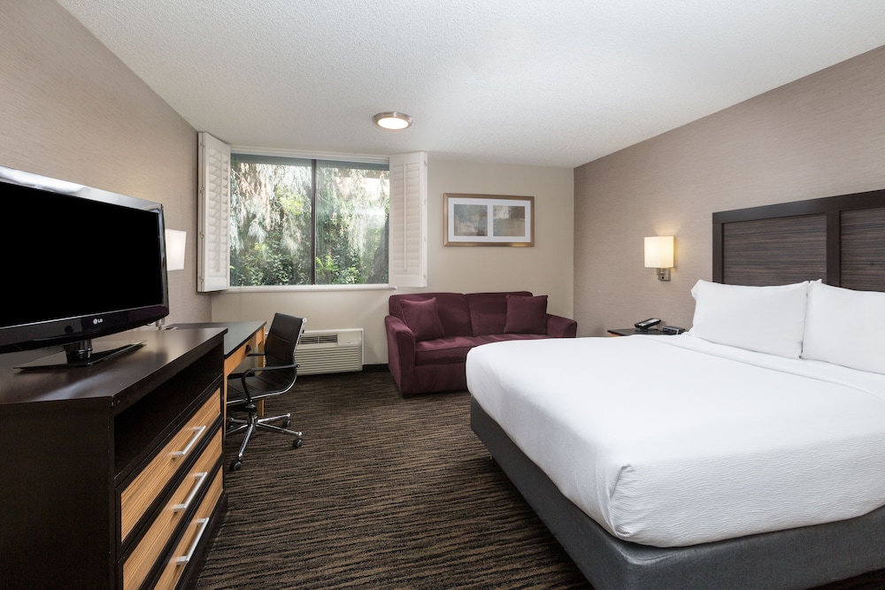 Holiday Inn Dublin Pleasanton an IHG Hotel - photo 5