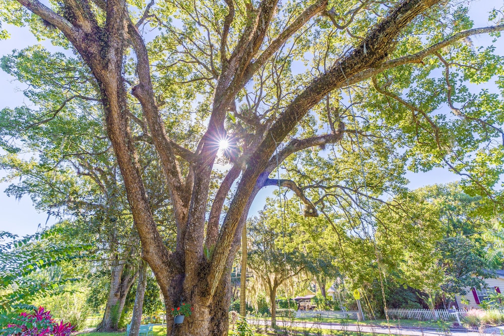 The Estate at Mount Dora - photo 173