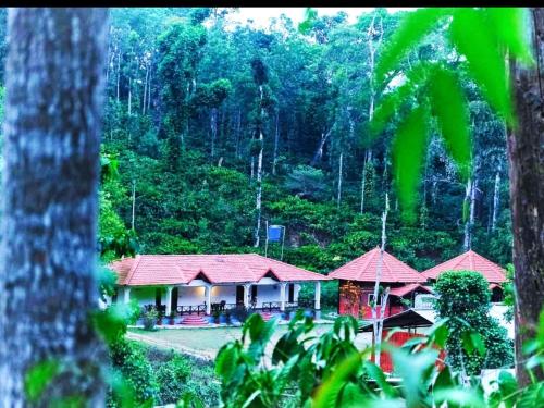 The Dockside Inn - last minute hotel in Madikeri