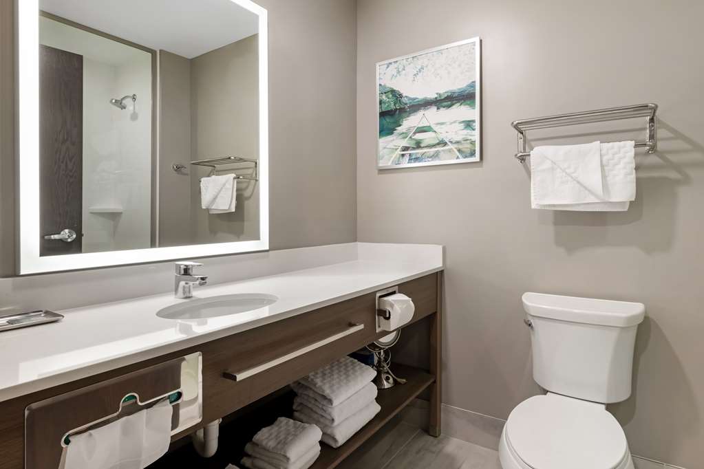 Best Western Plus Grand Rapids MN - photo 35