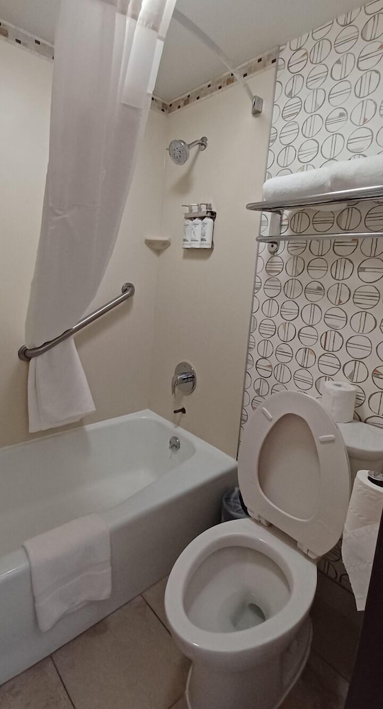Holiday Inn McAllen Medical Center Area an IHG Hotel - photo 20
