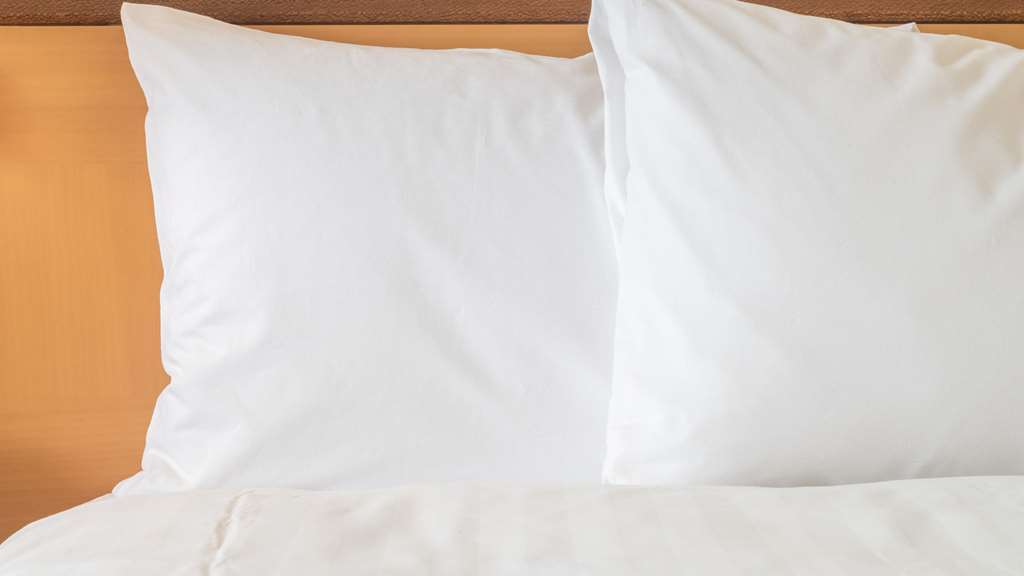 Sonesta Simply Suites Knoxville - photo 9