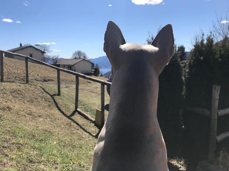 Rustico sopra Brissago in Brissago, Switzerland