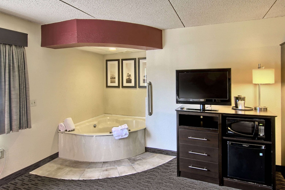 Blossom Hotel & Suites Traverse City - photo 28