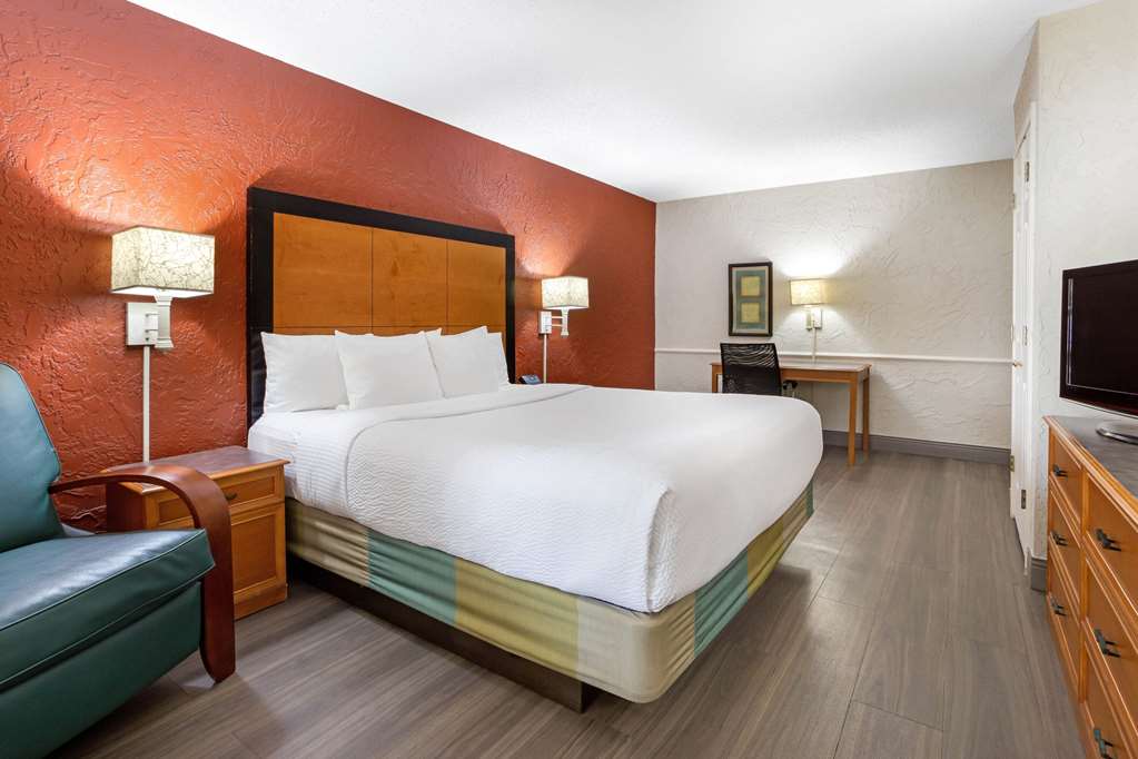 La Quinta Inn Tampa Airport Stadium Westshore - photo 11