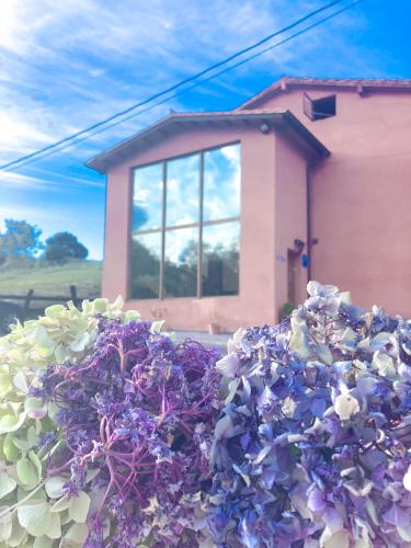 La Tejera - carbon neutral hotel in Unknown City