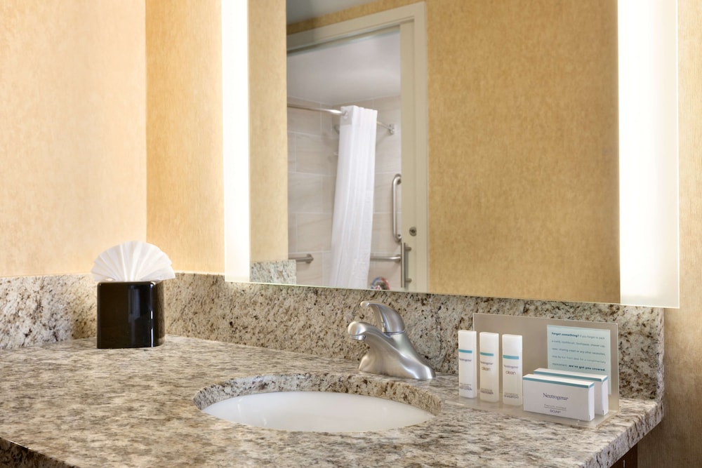 Hampton Inn Washington Dulles Int'l Airport South - photo 17