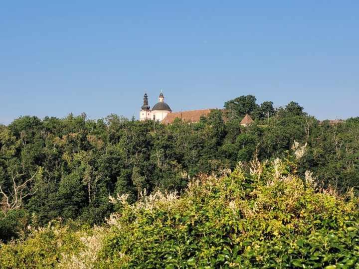 Ubytování u Gránic - last minute hotel in Znojmo