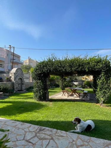 My Paradise in Nafplio, Greece