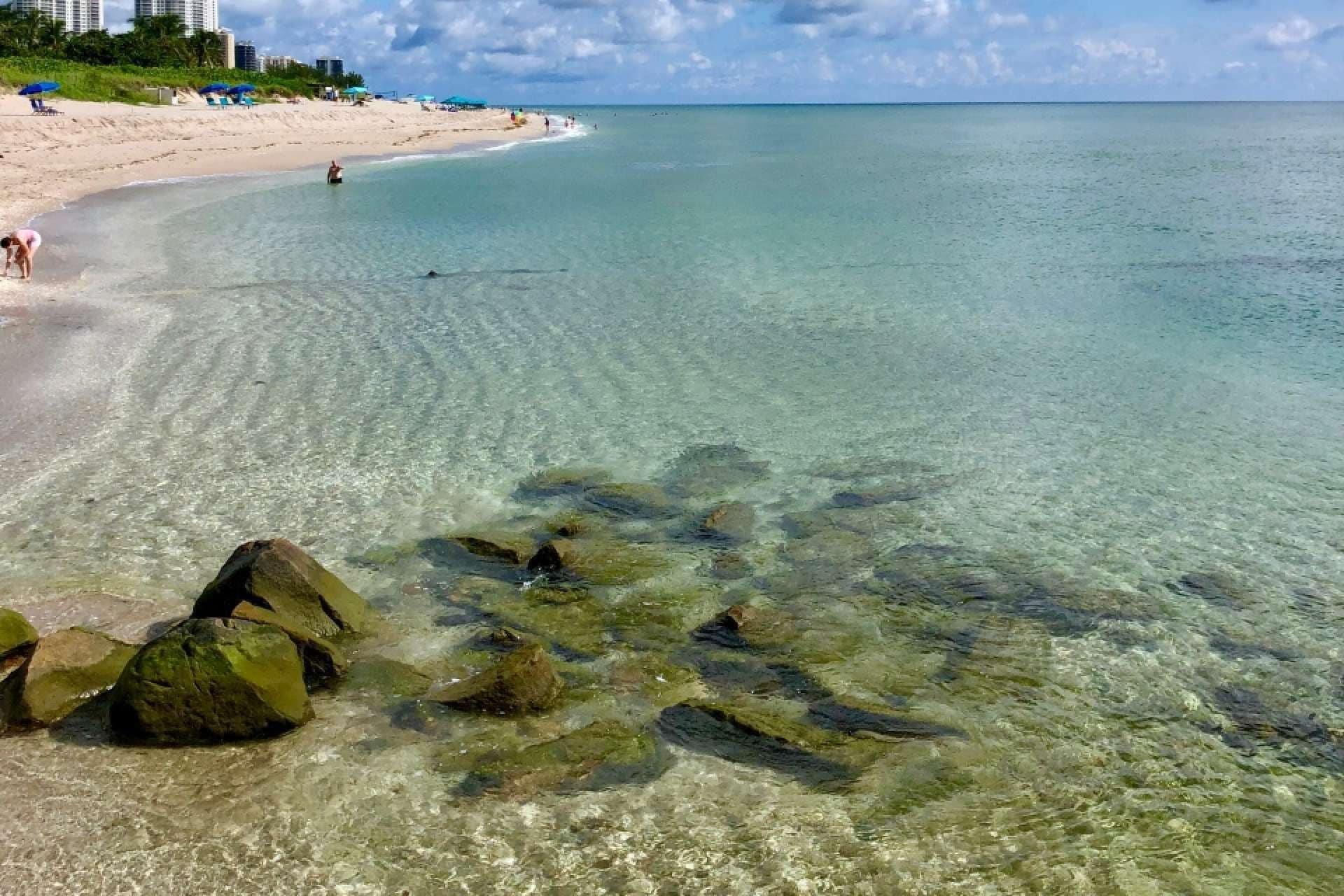 Southwind by iTrip Palm Beach - photo 14