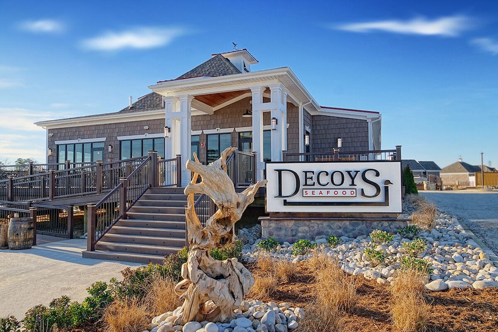 Decoys - photo 2