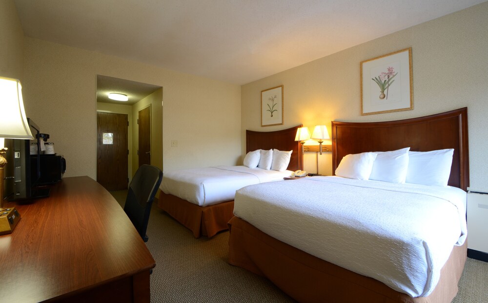 English Inn Of Charlottesville - photo 8