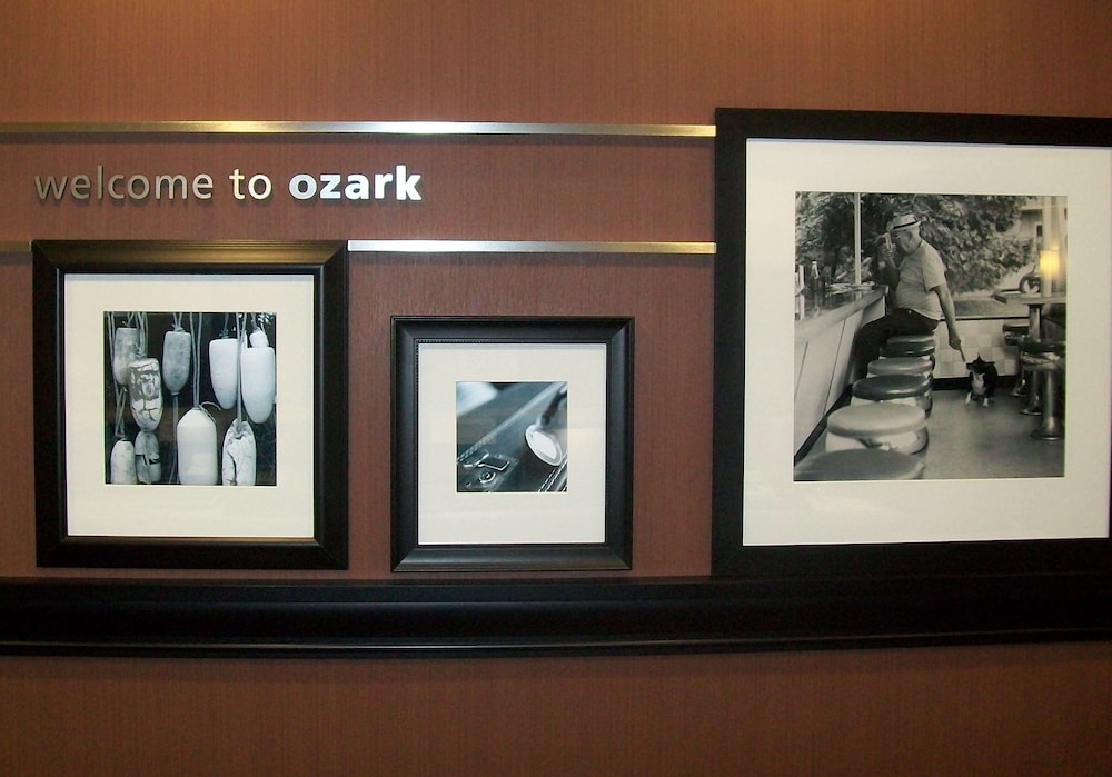 Hampton Inn Ozark - photo 6