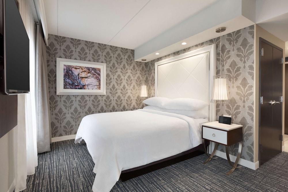 Embassy Suites by Hilton Atlanta NE Gwinnett Sugarloaf - photo 13