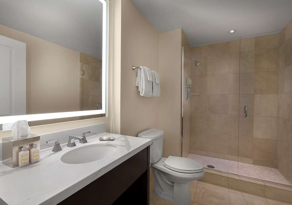 The Royal Sonesta Chase Park Plaza St. Louis - photo 88