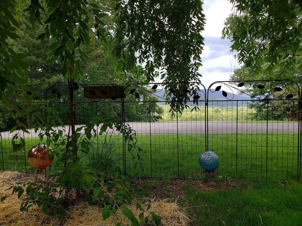 Blue Ridge Manor B&B - photo 46
