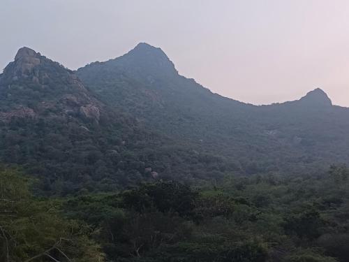 Saai Rooms Non Ac in Tiruvannamalai, India