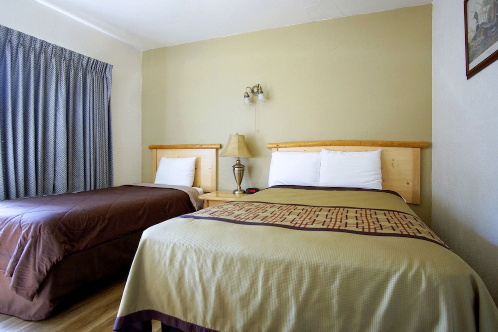Green Gables Motel & Suites - photo 22