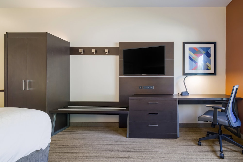Holiday Inn Express & Suites Custer Mt Rushmore - photo 9