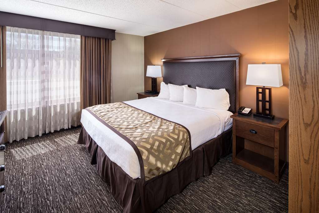 Best Western Ramkota Hotel - photo 17